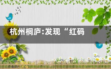 杭州桐庐:发现“红码”奖1000元 这个操作有点东西
